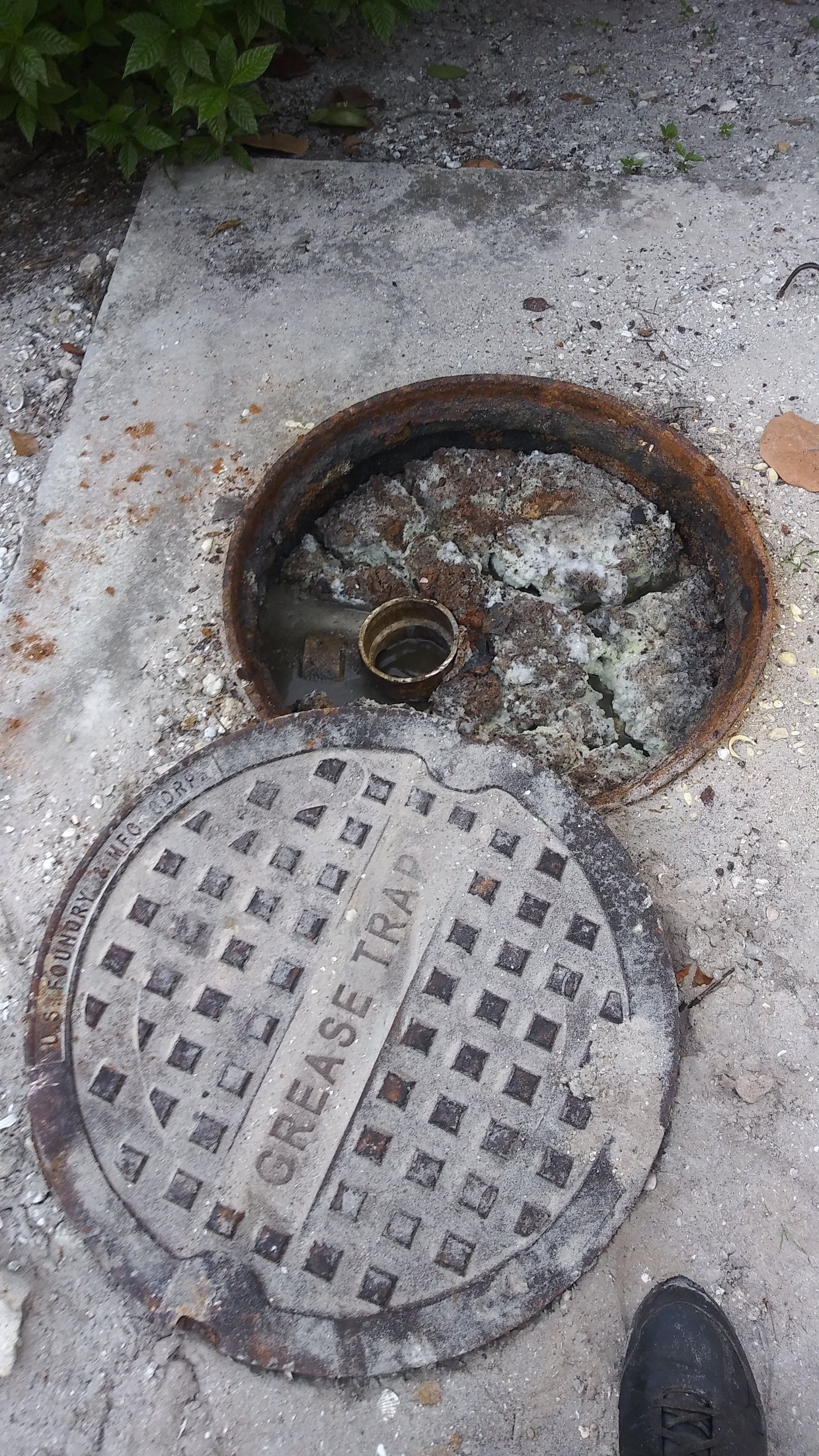 Grease Trap Inspection