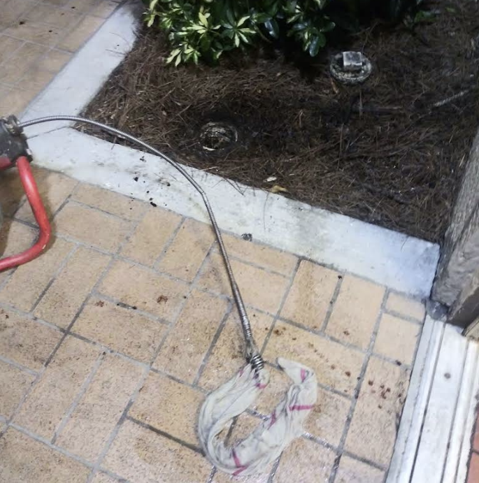 Drain Line Cleaning