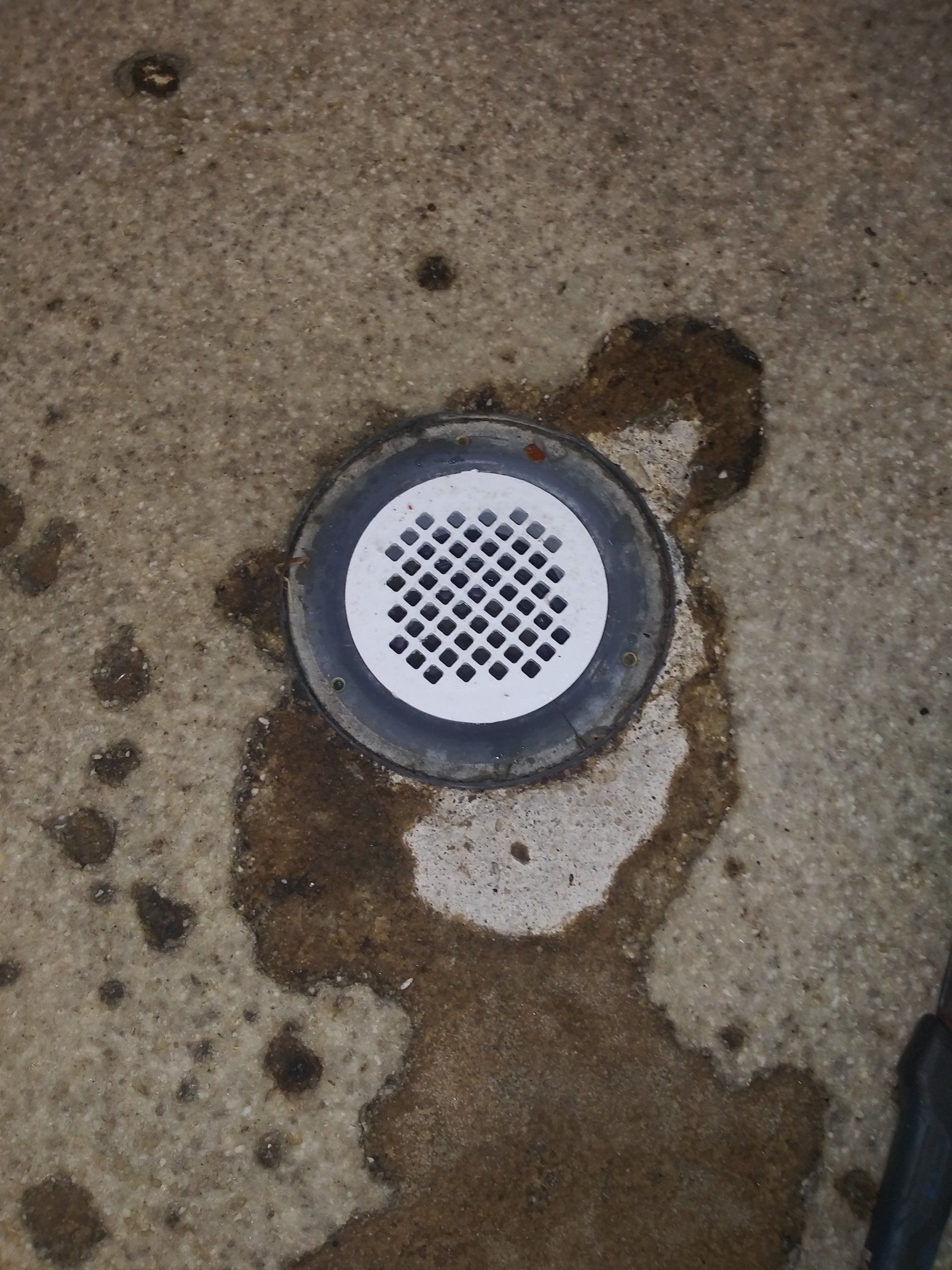 Drain Cleaning